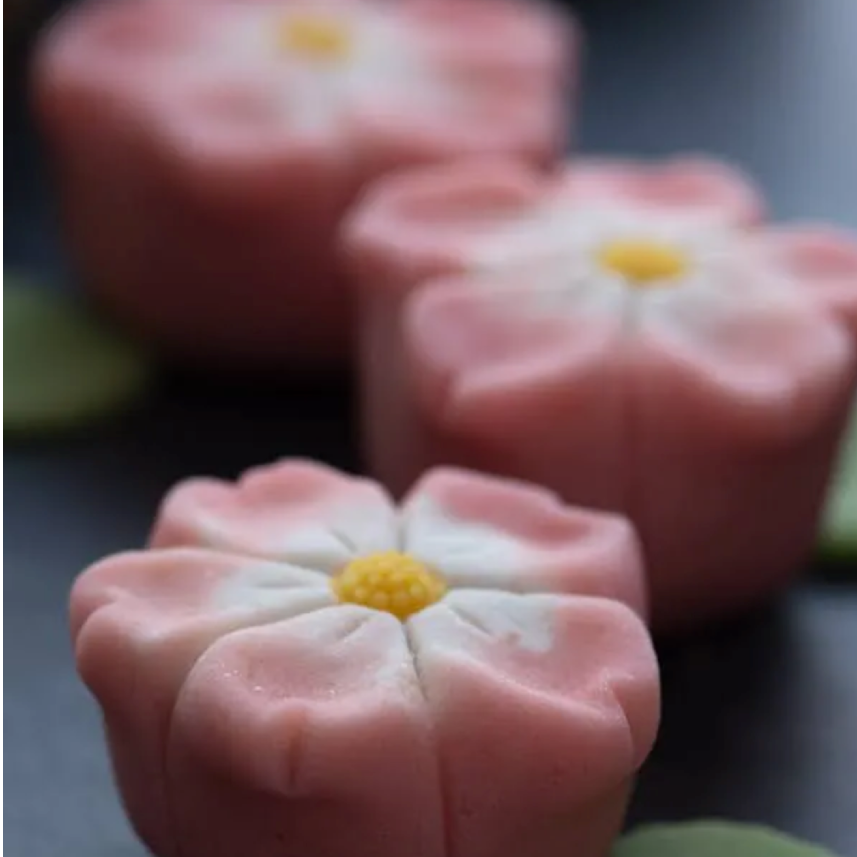 Sakura wagashi