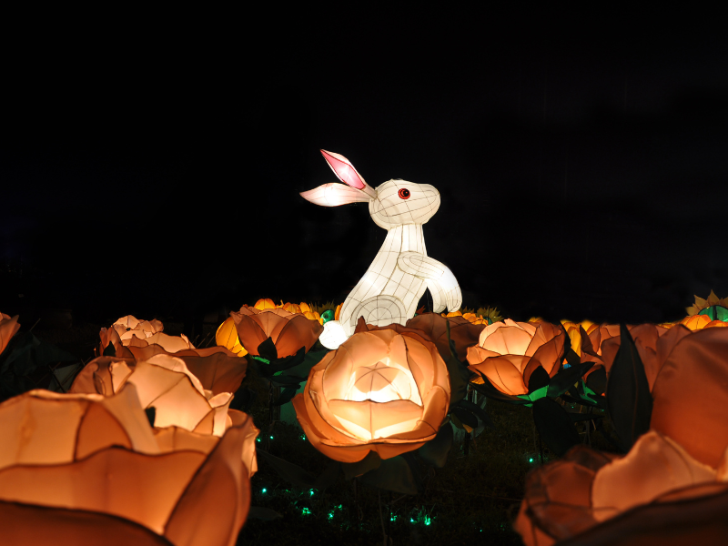 Rabbit lantern display